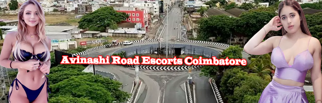 Avinashi Road Escorts Coimbatore