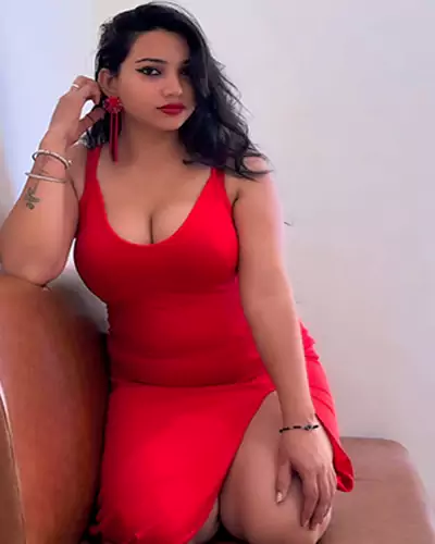Ameesha Punjabi Celebrity Escorts